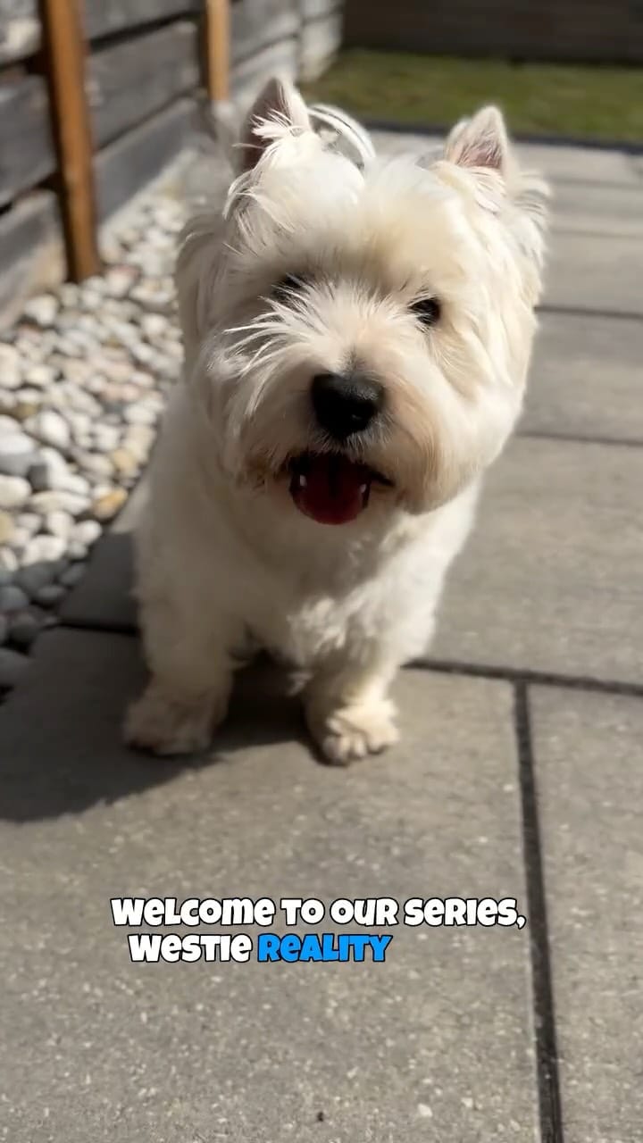 Post 5 by Blue on Instagram (video)