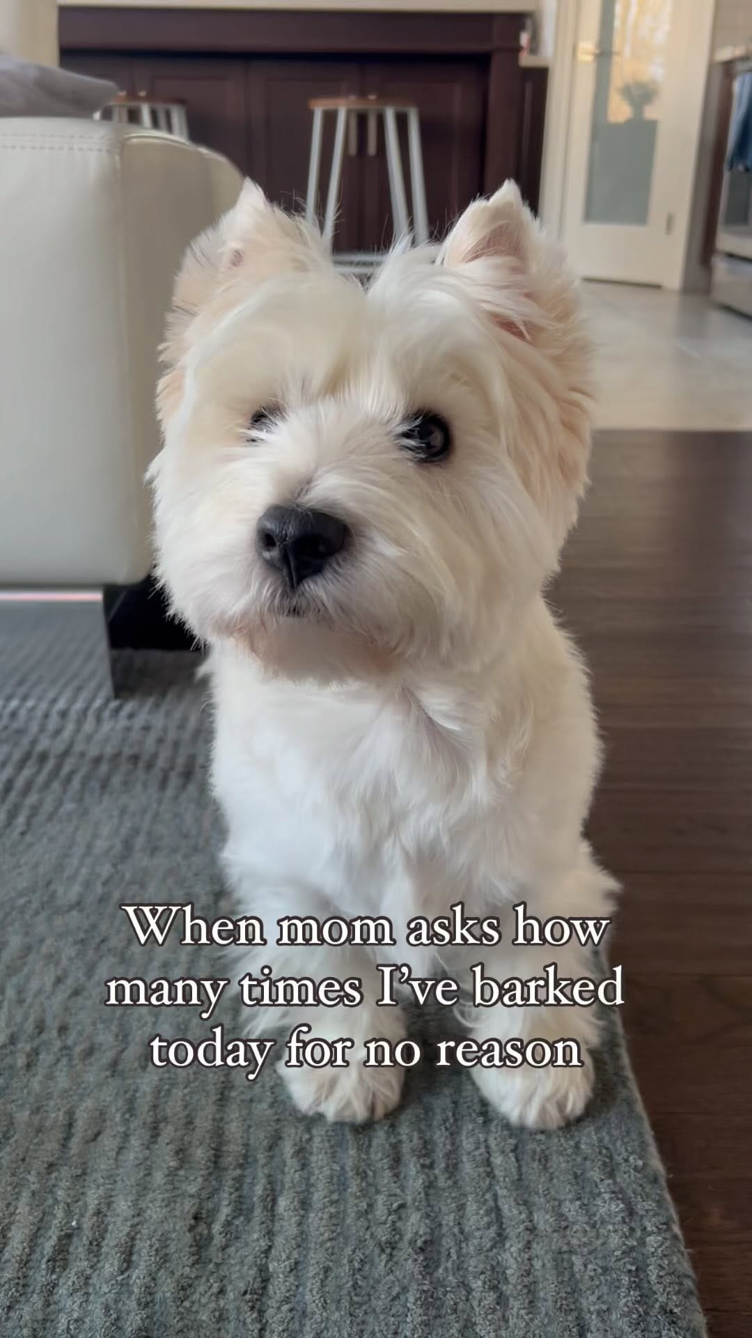 Post 10 by Blue on Instagram (video)