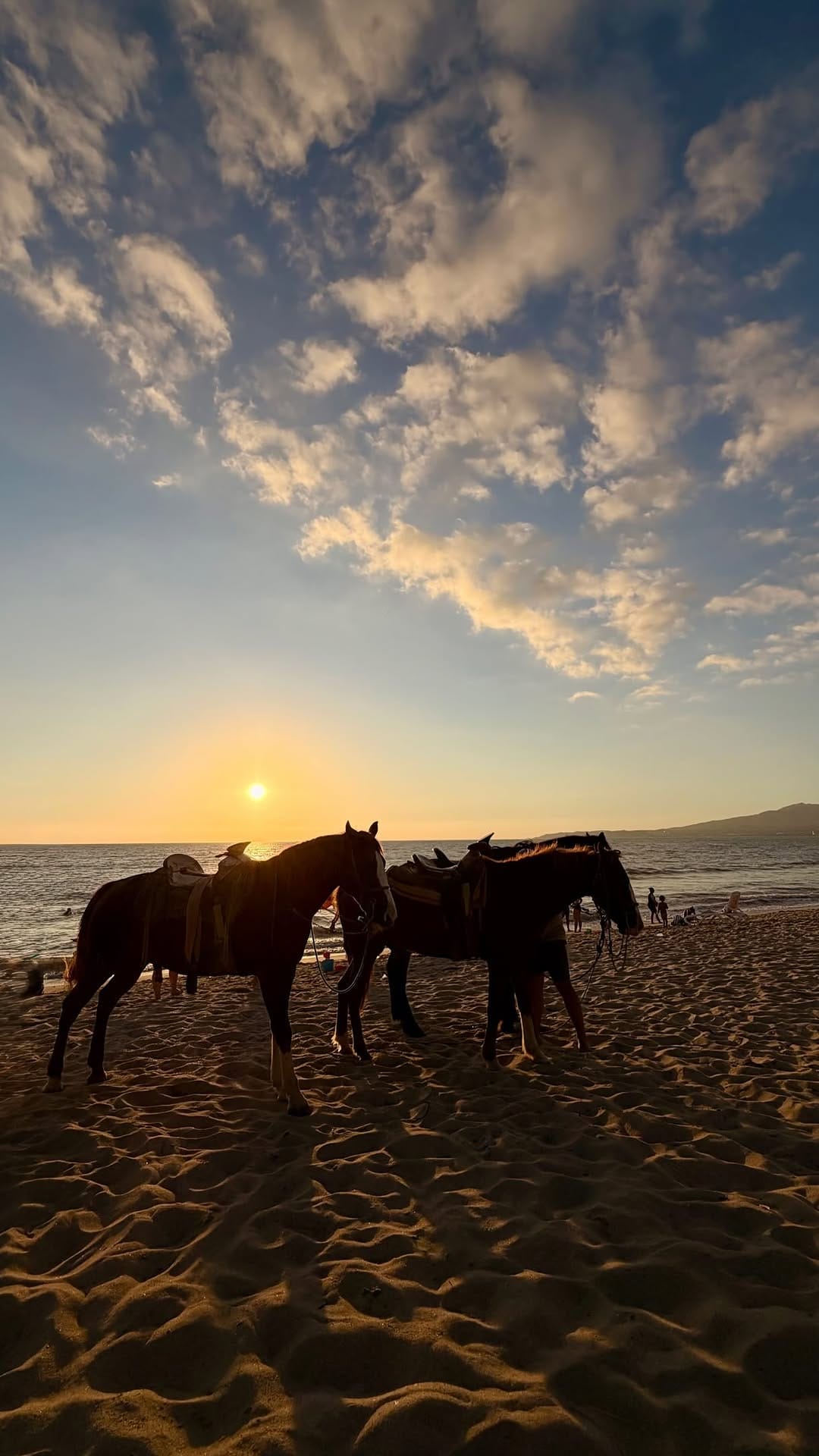 Post 3 by Ananya | Travel & UGC Creator on Instagram (video)