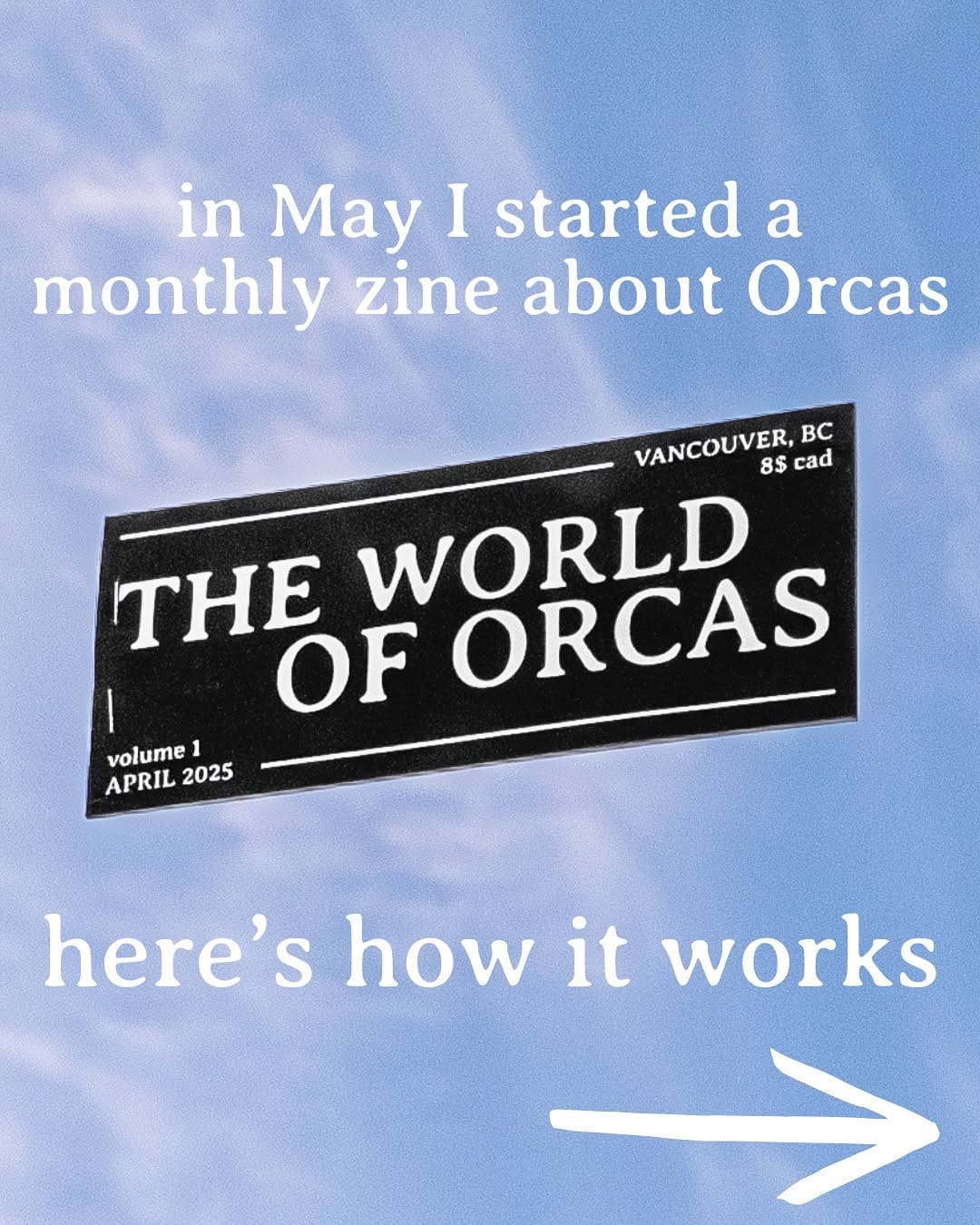 Post 10 by The Orca Man on Instagram (carousel)