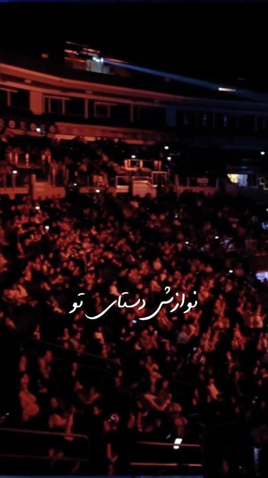 Post 5 by Buzzermedia on Instagram (video)
