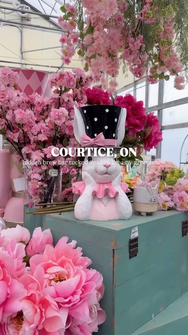 Post 4 by Janu ♡ Toronto Food & Lifestyle on Instagram (video)
