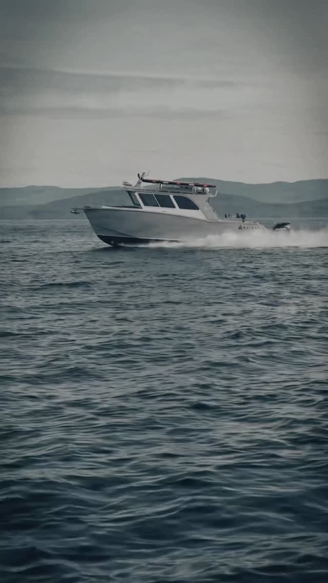 Post 3 by Walker Custom Aluminum Boats on Instagram (video)