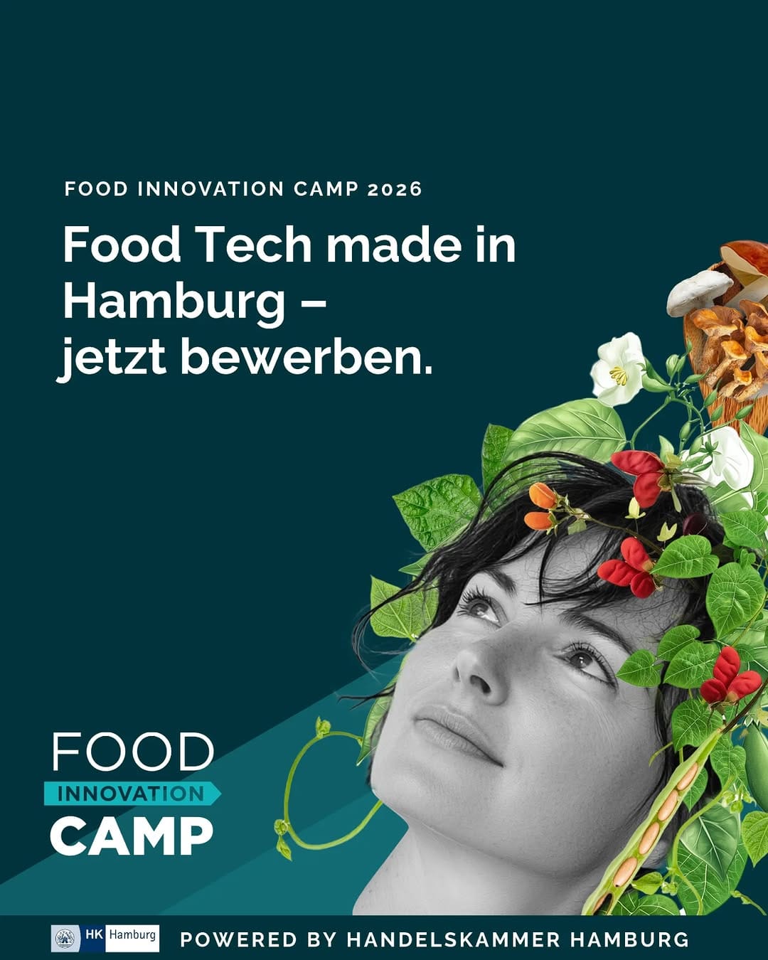 Post 2 by Hamburg Startups on Instagram (image)
