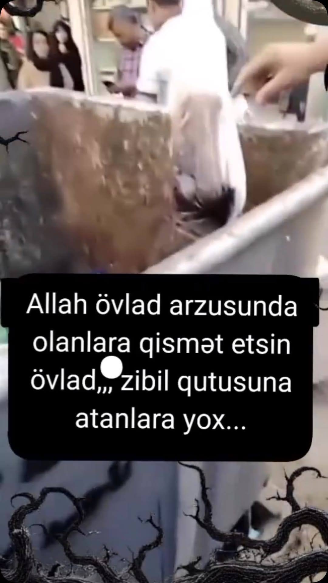 Post 7 by @bujuteriyya_gence_ on Instagram (video)