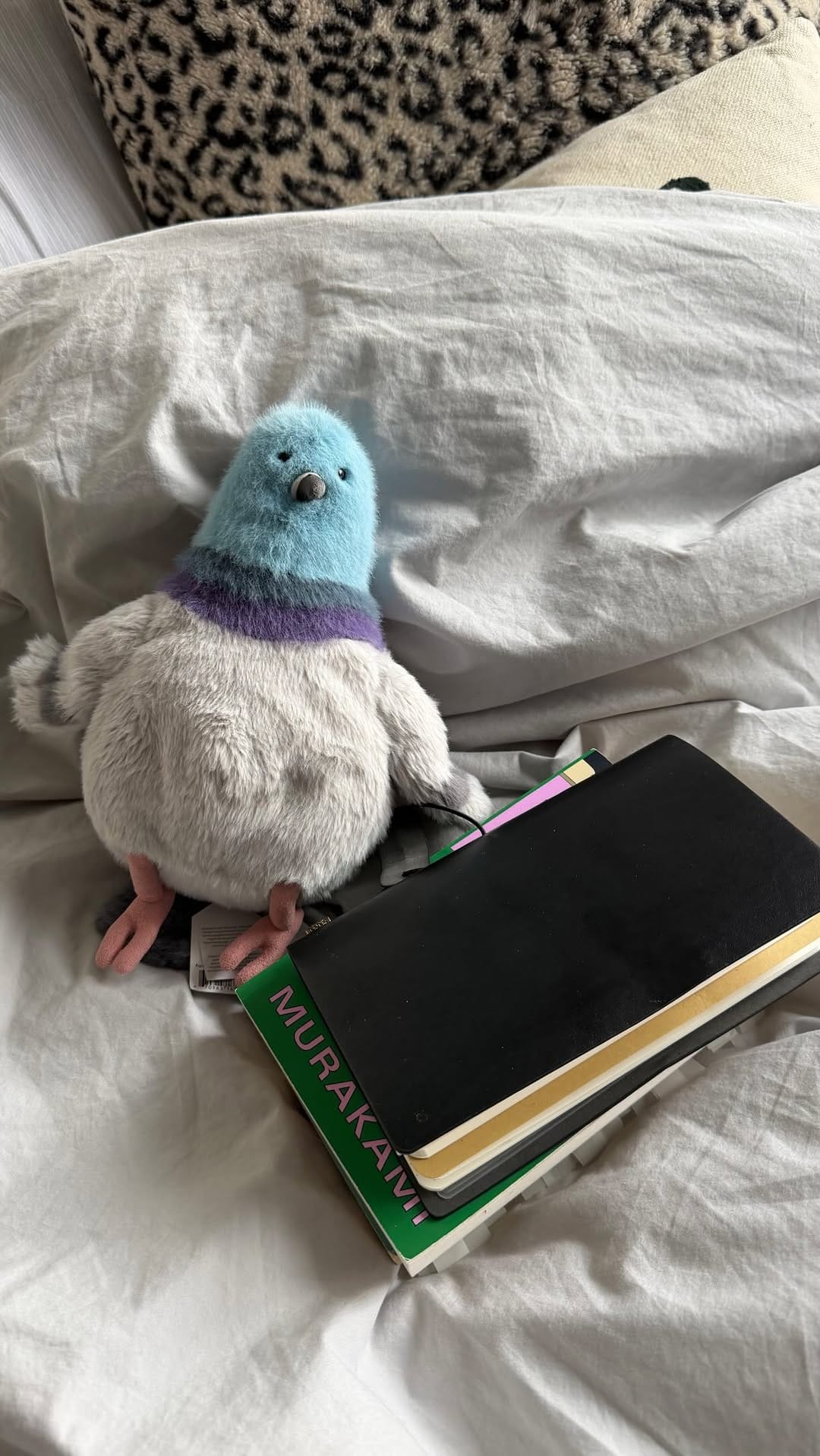 Post 5 by Aideen on Instagram (video)