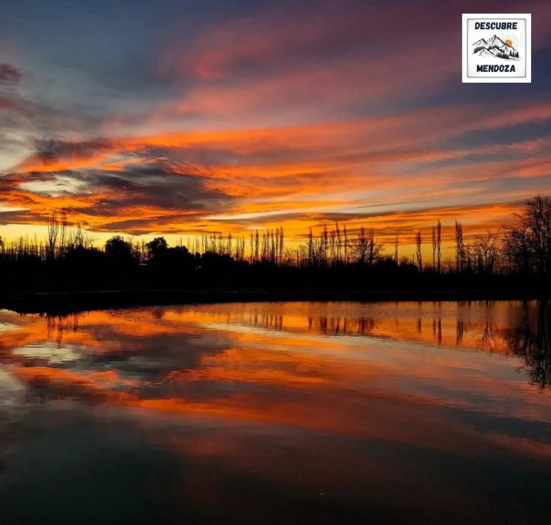 Post 9 by 🇦🇷 𝐃𝐞𝐬𝐜𝐮𝐛𝐫𝐞 𝐌𝐞𝐧𝐝𝐨𝐳𝐚 🇦🇷 on Instagram (image)