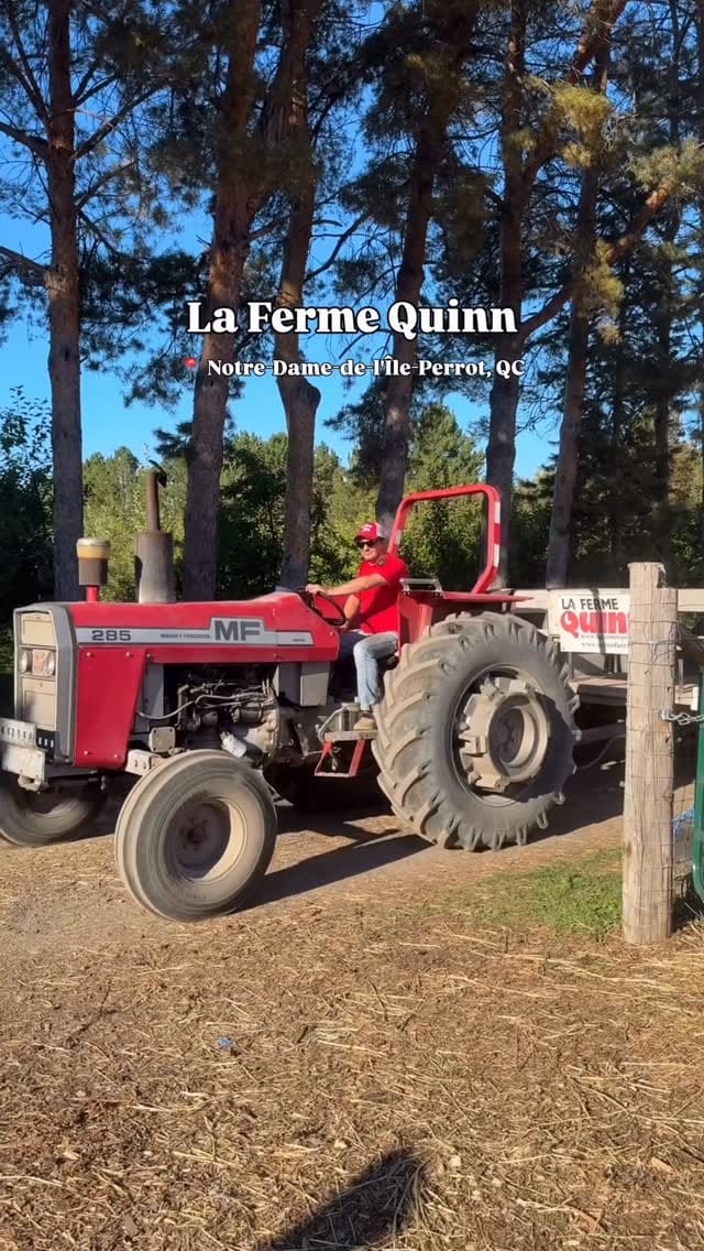 Post 4 by Activities in Montreal & Quebec on Instagram (video)