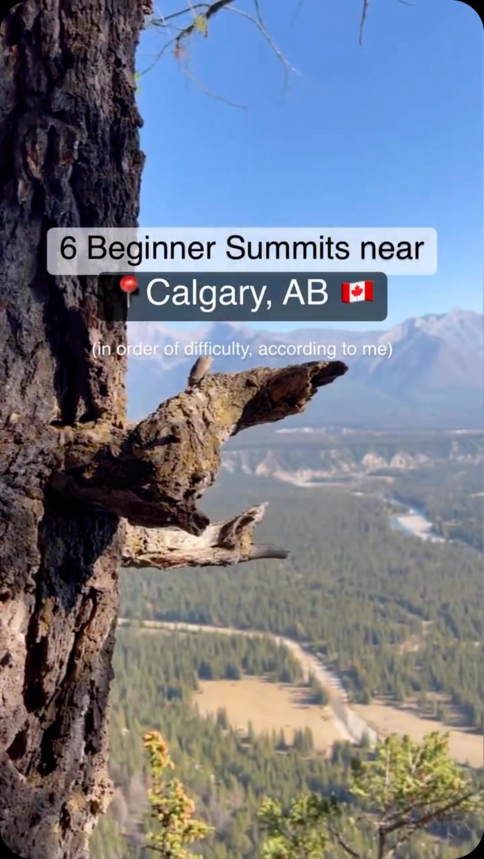 Post 5 by Shannon🌲Canadian Outdoor Adventure Mom on Instagram (video)