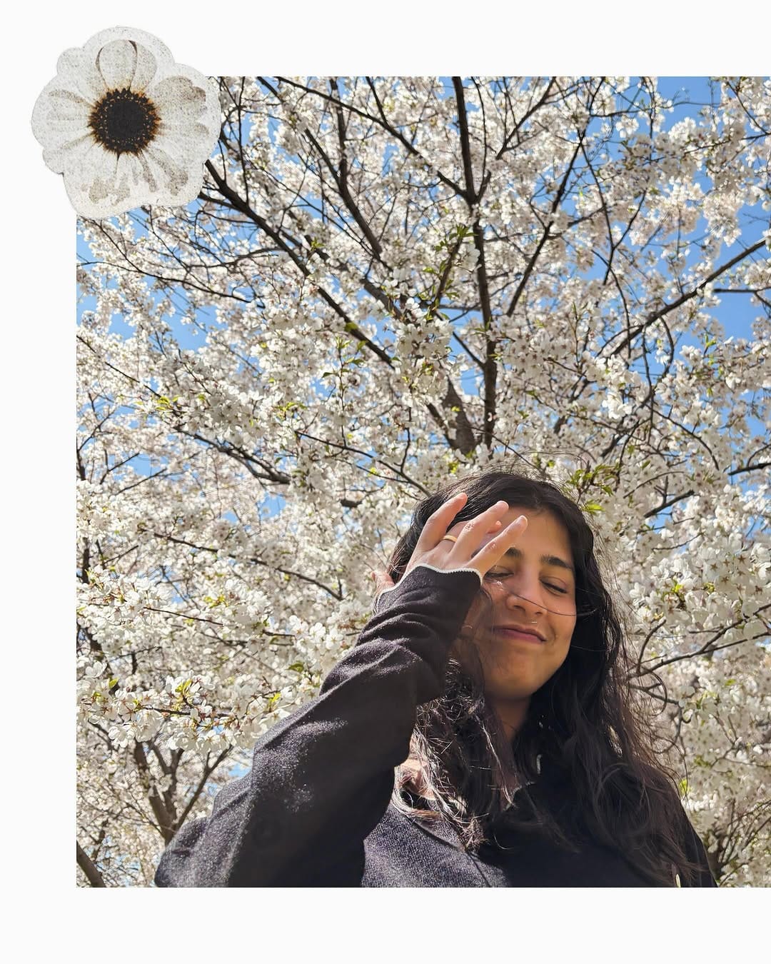 Post 2 by 🌻 on Instagram (carousel)
