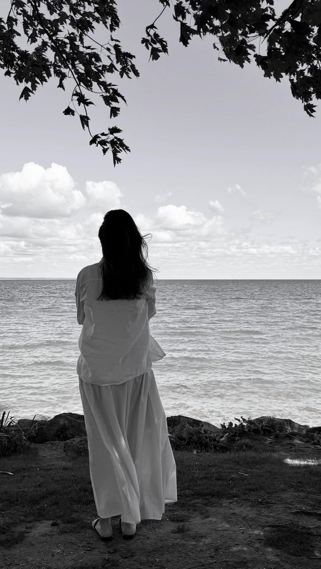 Post 4 by Maryam Radfar on Instagram (video)