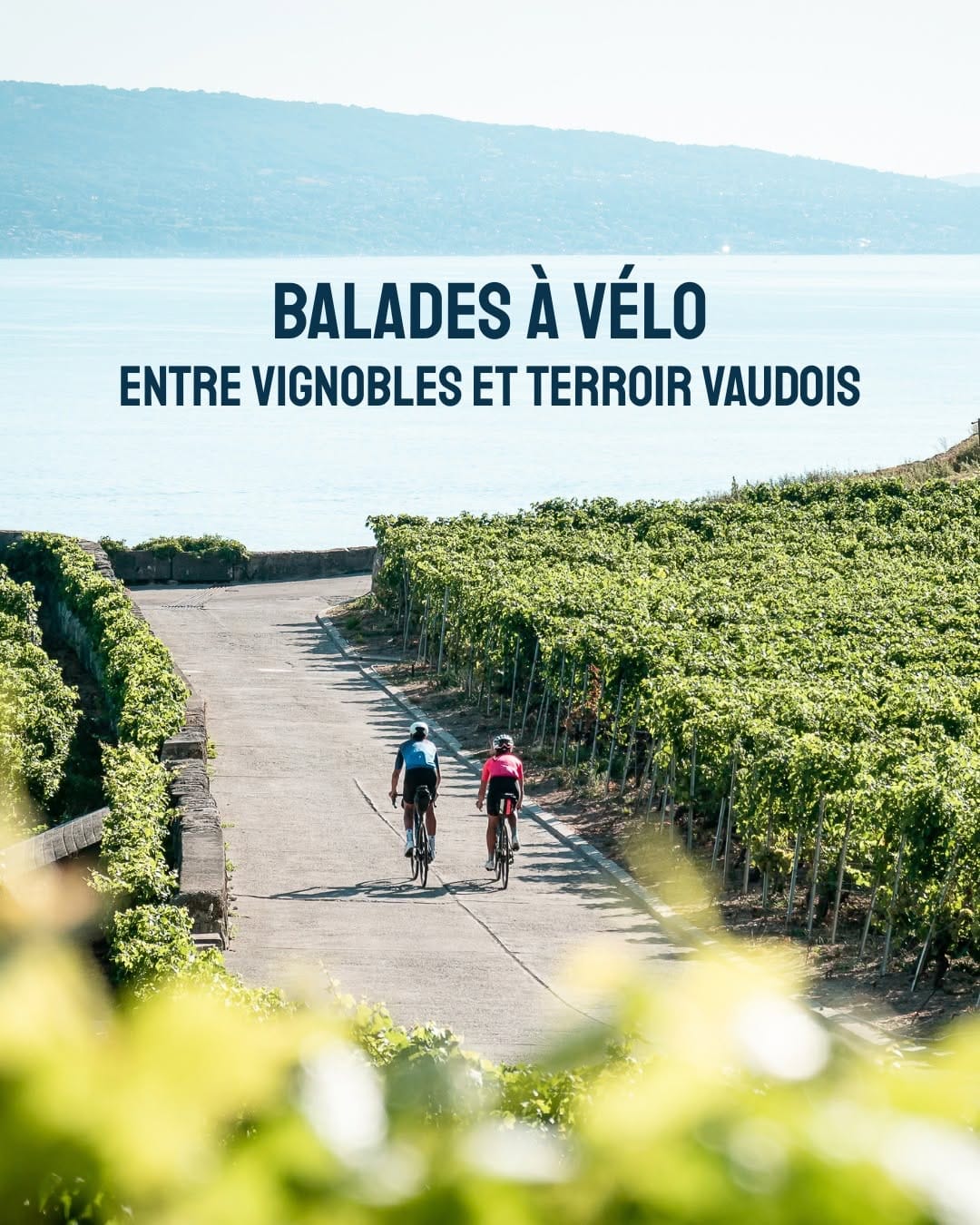 Post 2 by Vaud Promotion on Instagram (carousel)