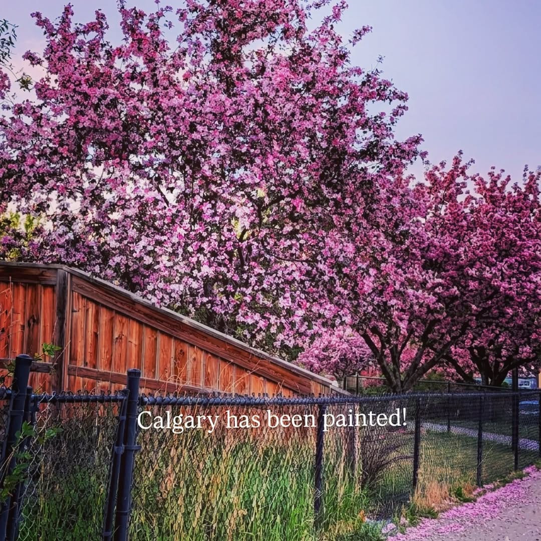 Post 2 by Nishant Kalia on Instagram (image)