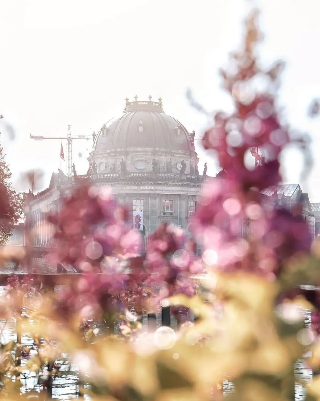 Post 4 by GERMANY 🇩🇪 on Instagram (image)