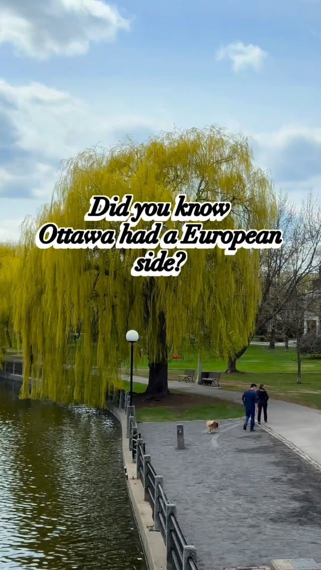 Post 8 by Carla Salazar | Things to do in Ottawa | Blog for newcomers on Instagram (video)