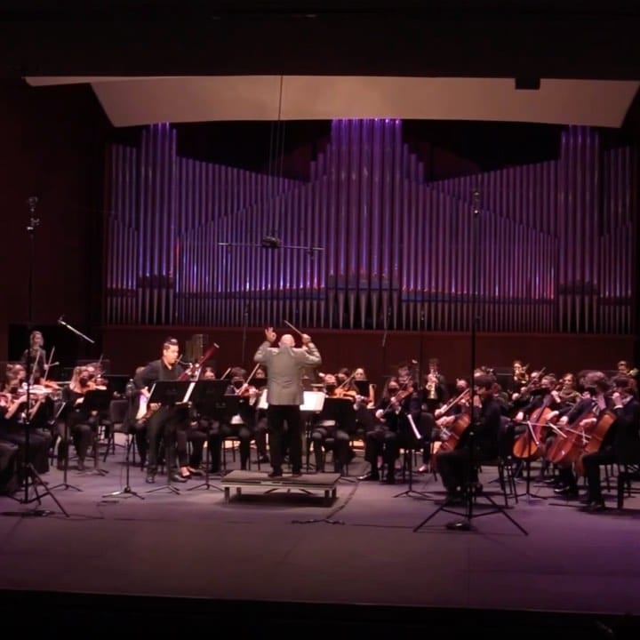 Post 9 by Showan Tavakol on Instagram (video)