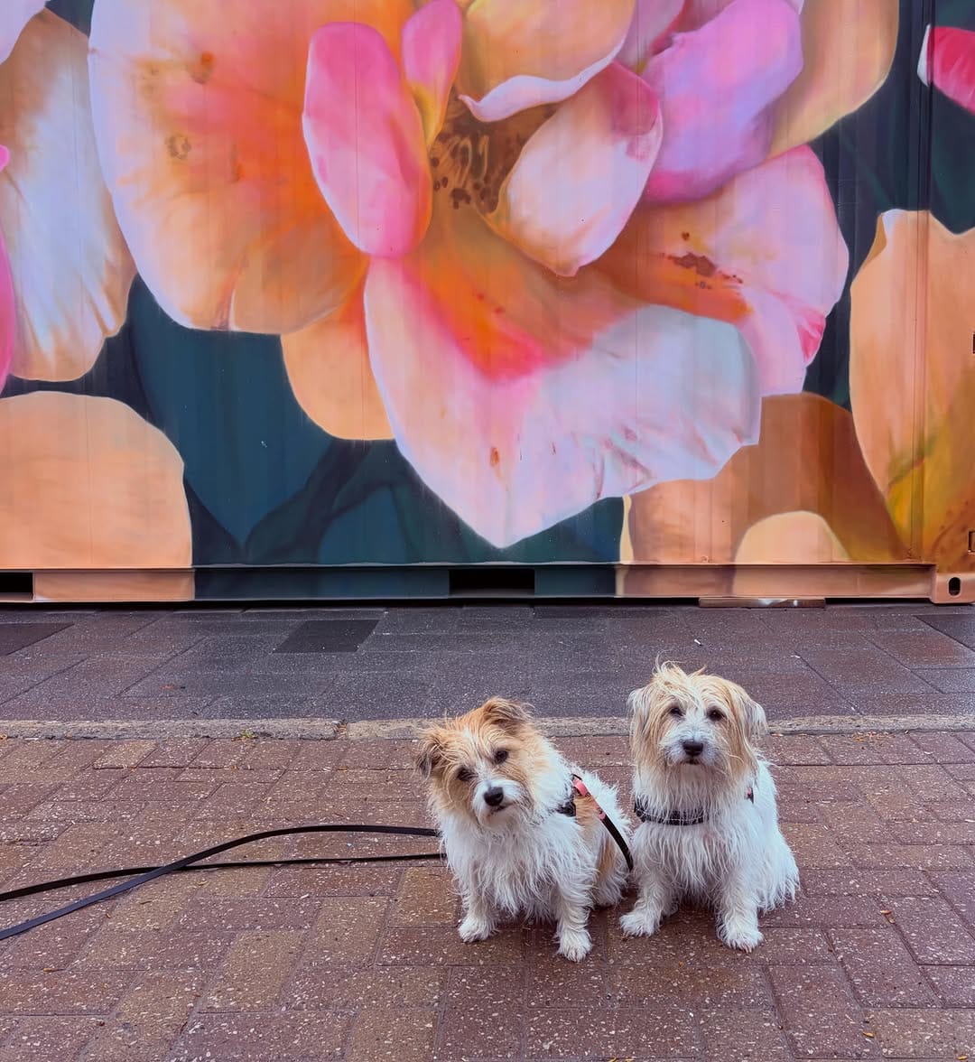 Post 2 by River & Brooke on Instagram (image)