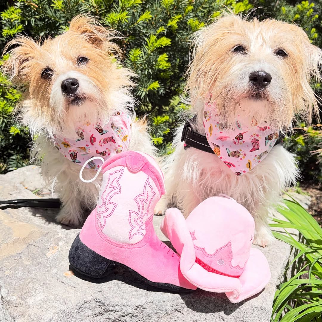 Post 4 by River & Brooke on Instagram (image)