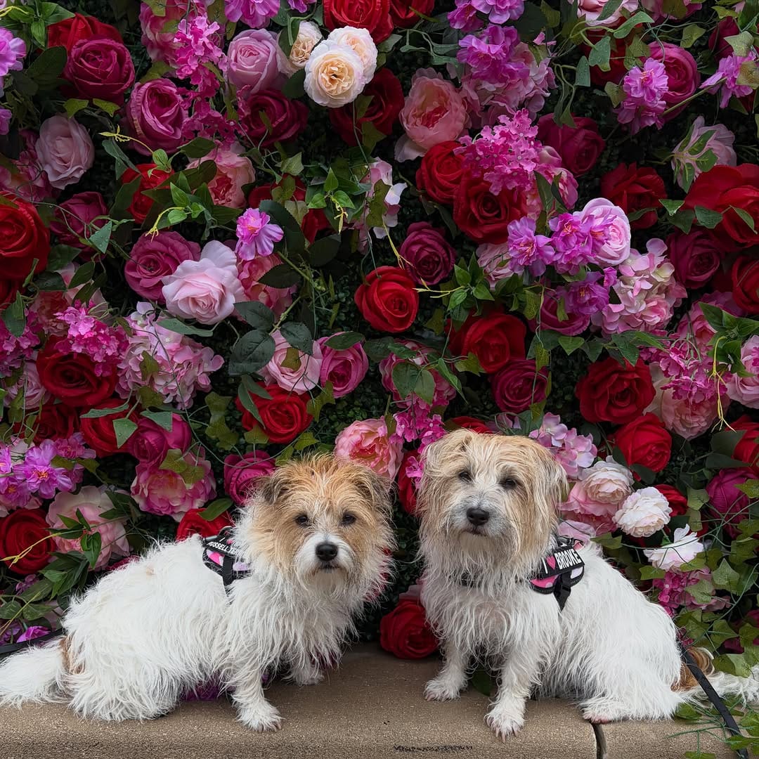 Post 3 by River & Brooke on Instagram (image)