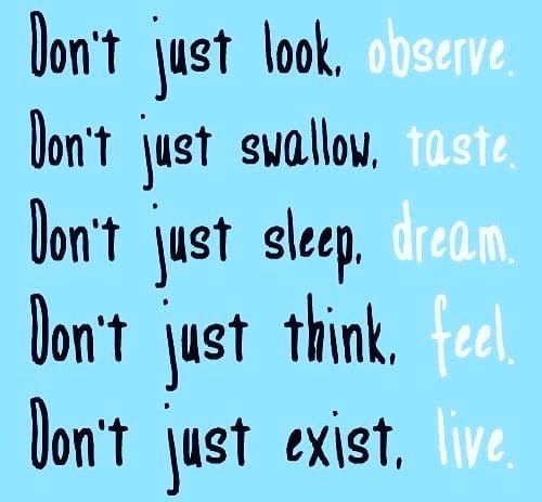 Post 4 by the_great_vibe_ on Instagram (image)