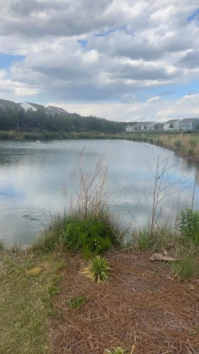 Post 1 by LAUREN KISER | Charlotte, NC Realtor on Instagram (video)