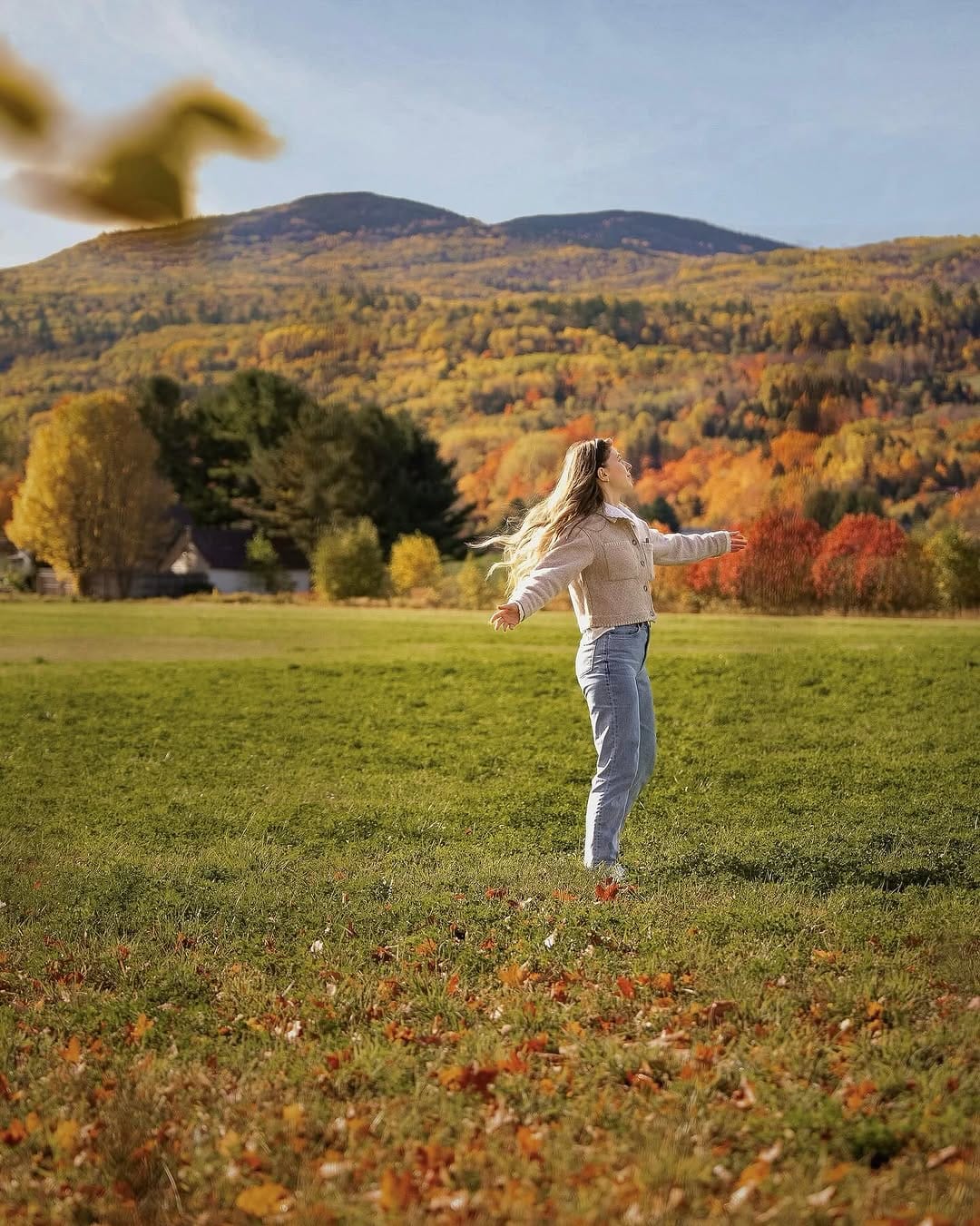 Post 5 by Andi | canadian photographer & content creator ◡̈ on Instagram (carousel)
