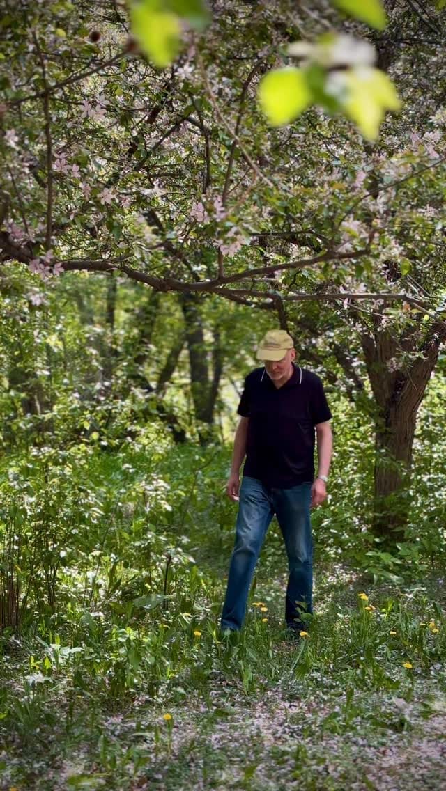 Post 2 by Robert Lemay on Instagram (video)