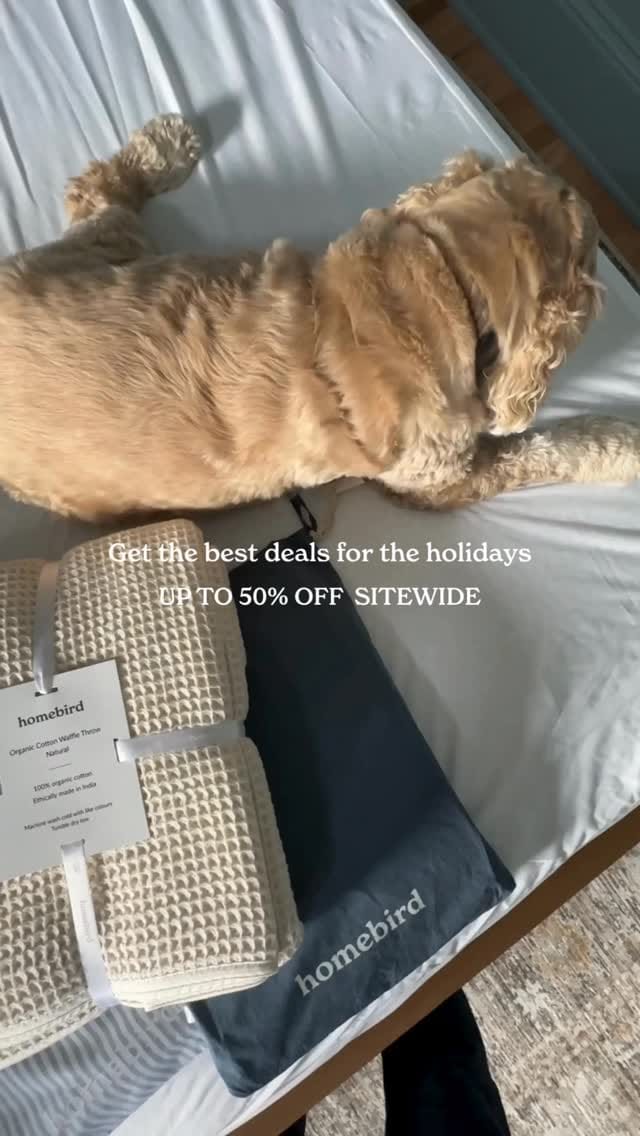 Post 6 by Homebird™ on Instagram (video)
