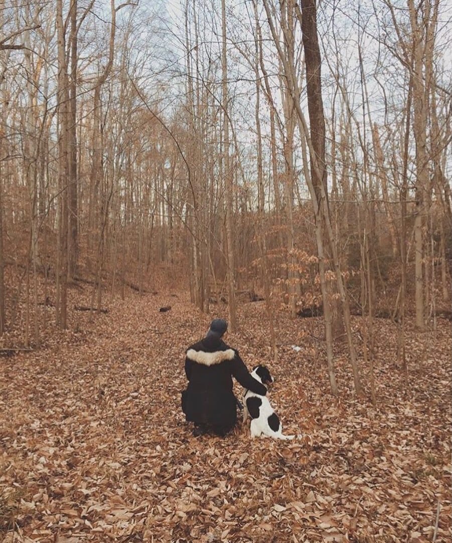 Post 8 by Ben Rudisin on Instagram (image)