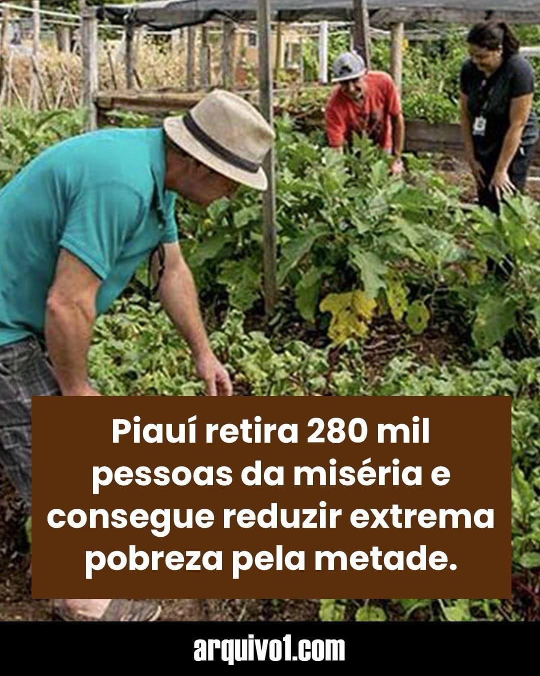 Post 3 by Portal Arquivo 1 on Instagram (image)