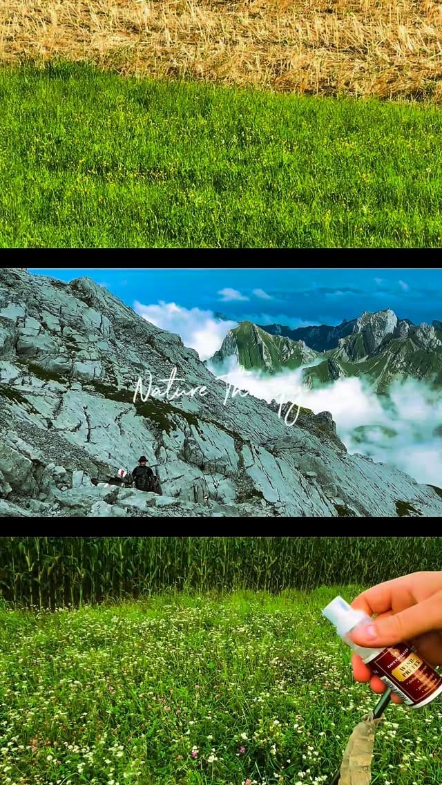 Post 3 by Philipp Knobloch on Instagram (video)
