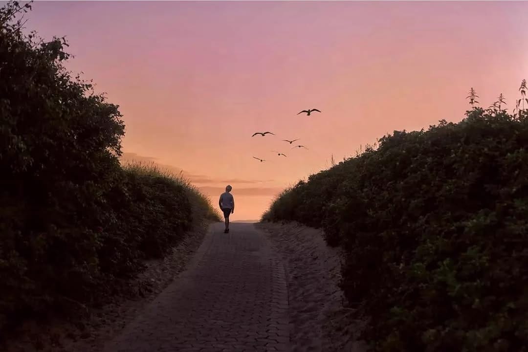Post 5 by ᴘʀᴏᴊᴇᴄᴛ ғᴀᴄᴇʟᴇss on Instagram (image)