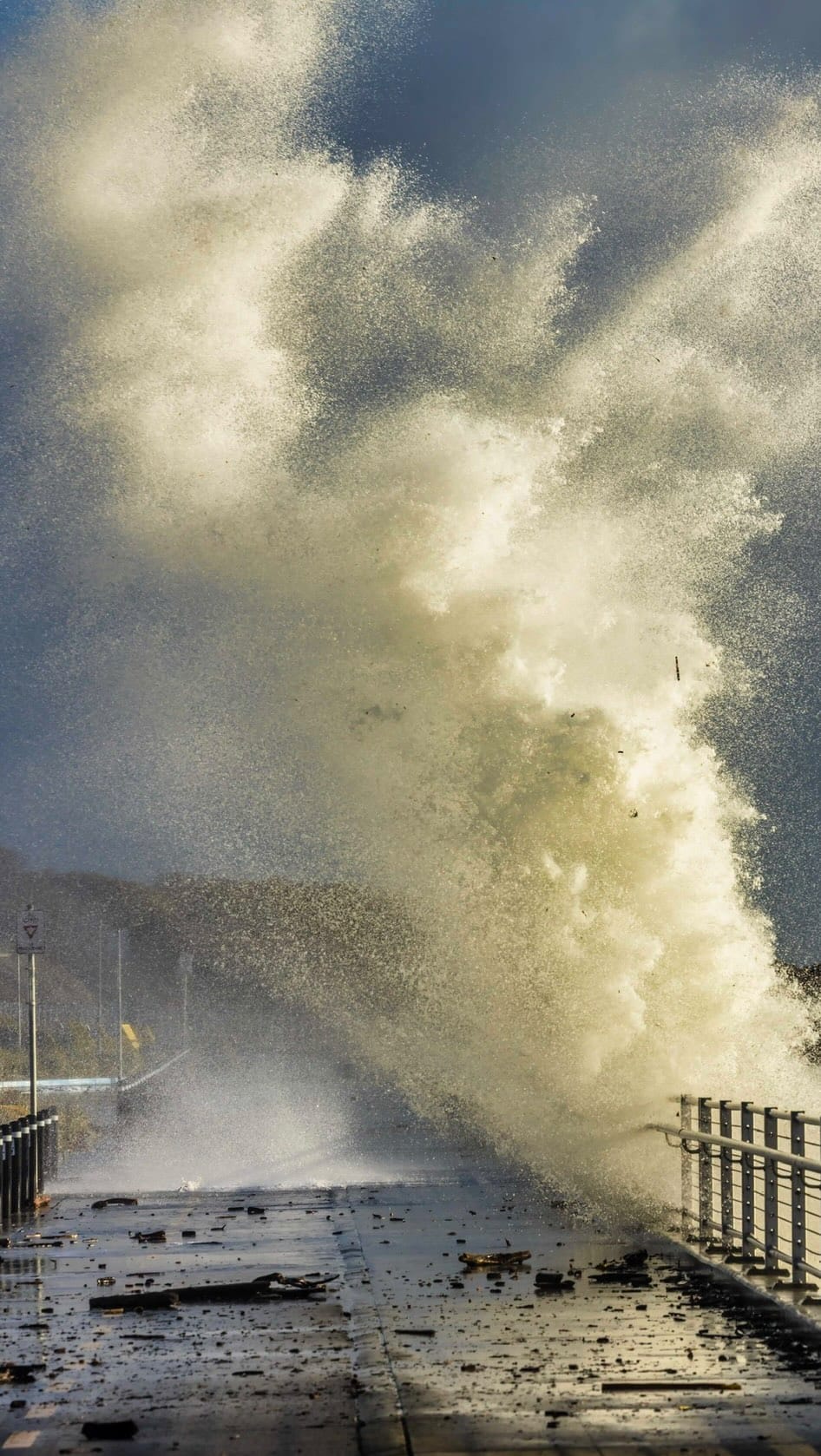 Post 1 by Doug Clement Photography Trails & Tails on Instagram (video)
