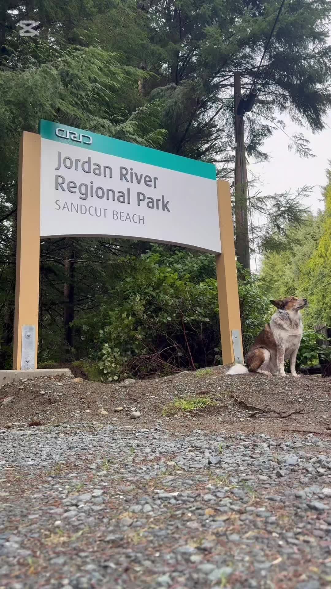 Post 3 by Doug Clement Photography Trails & Tails on Instagram (video)