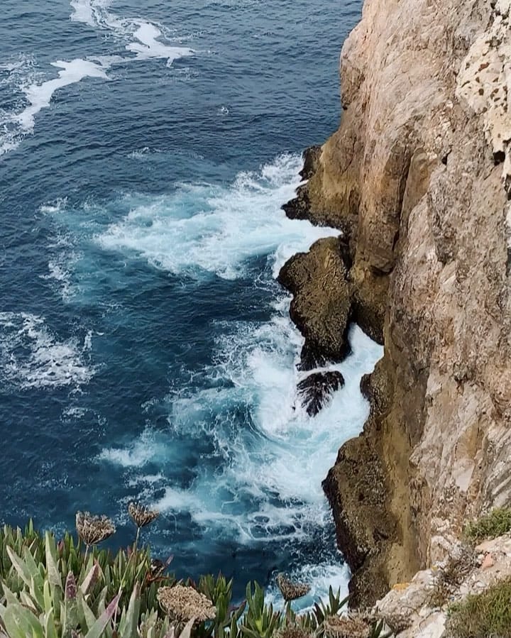 Post 8 by Katharina Primm on Instagram (video)