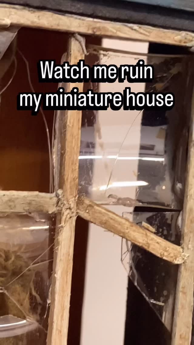 Post 2 by Kayla Buium (Milkbox) on Instagram (video)