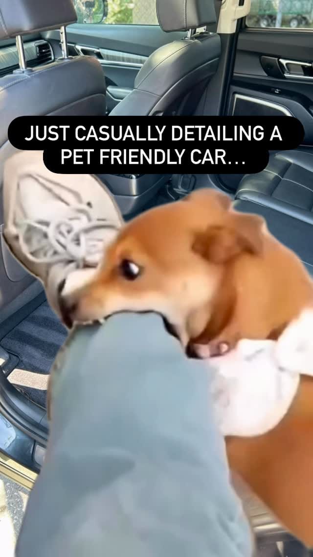 Post 1 by Royal Mobile Auto Detailing | Car Detailing Peterborough,ON on Instagram (video)