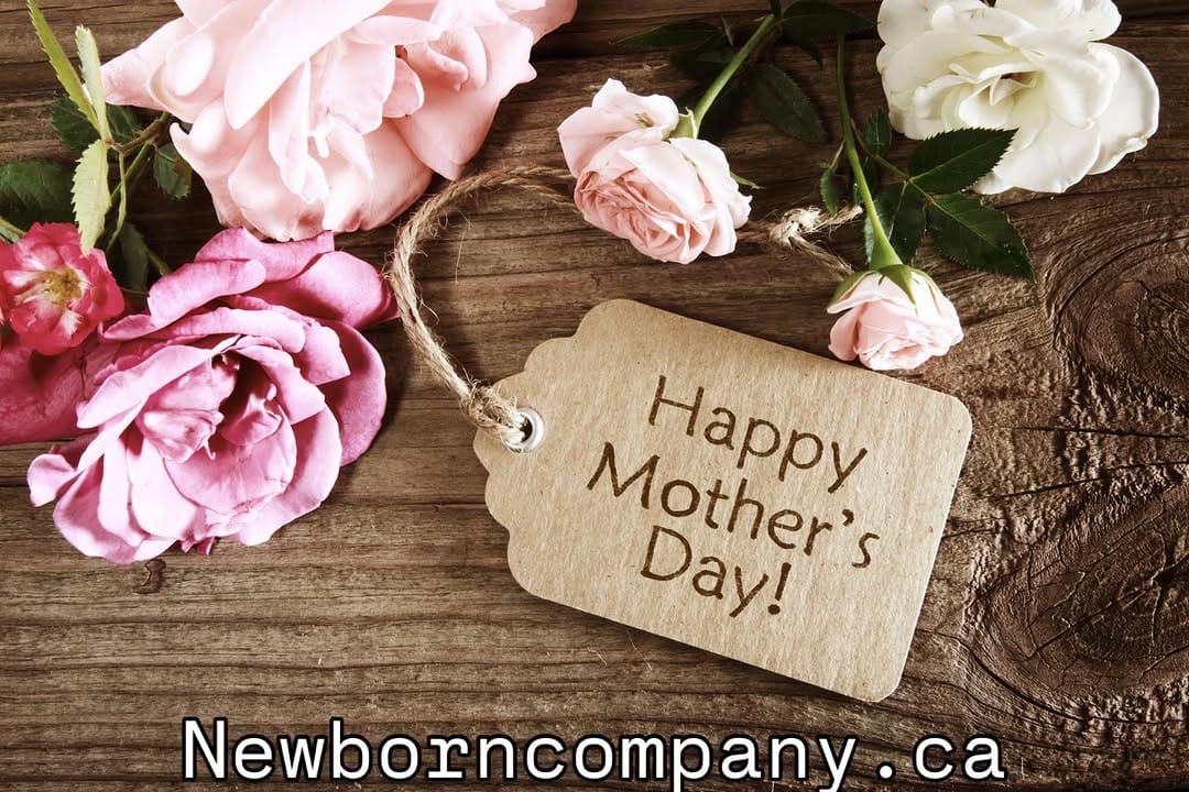 Post 2 by Bita Gold. F Newborn Company NBC on Instagram (image)