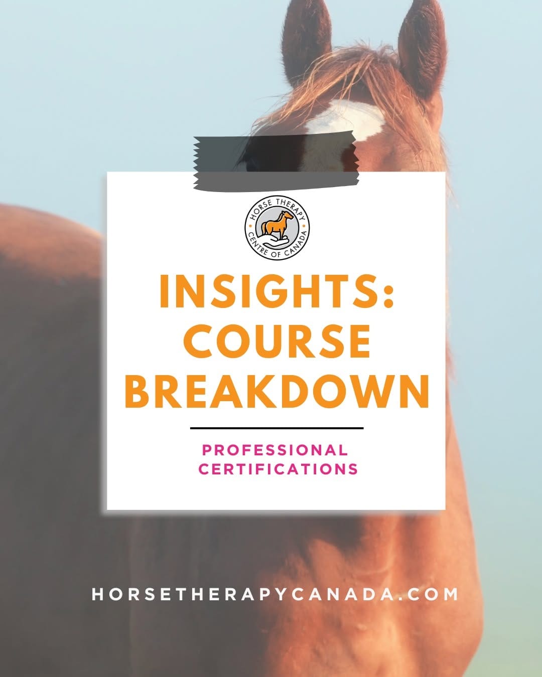 Post 5 by Horse Therapy Centre of Canada on Instagram (image)