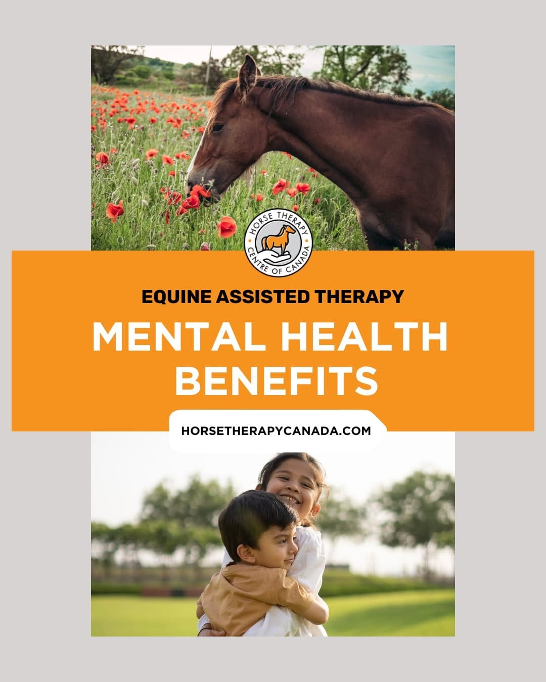 Post 3 by Horse Therapy Centre of Canada on Instagram (image)