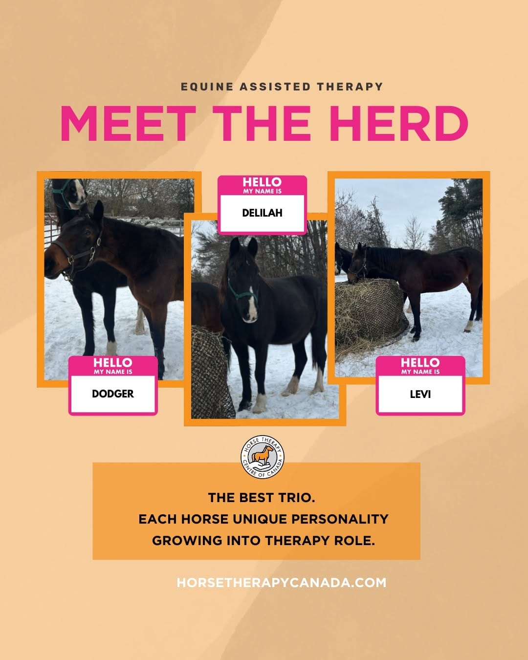 Post 10 by Horse Therapy Centre of Canada on Instagram (image)