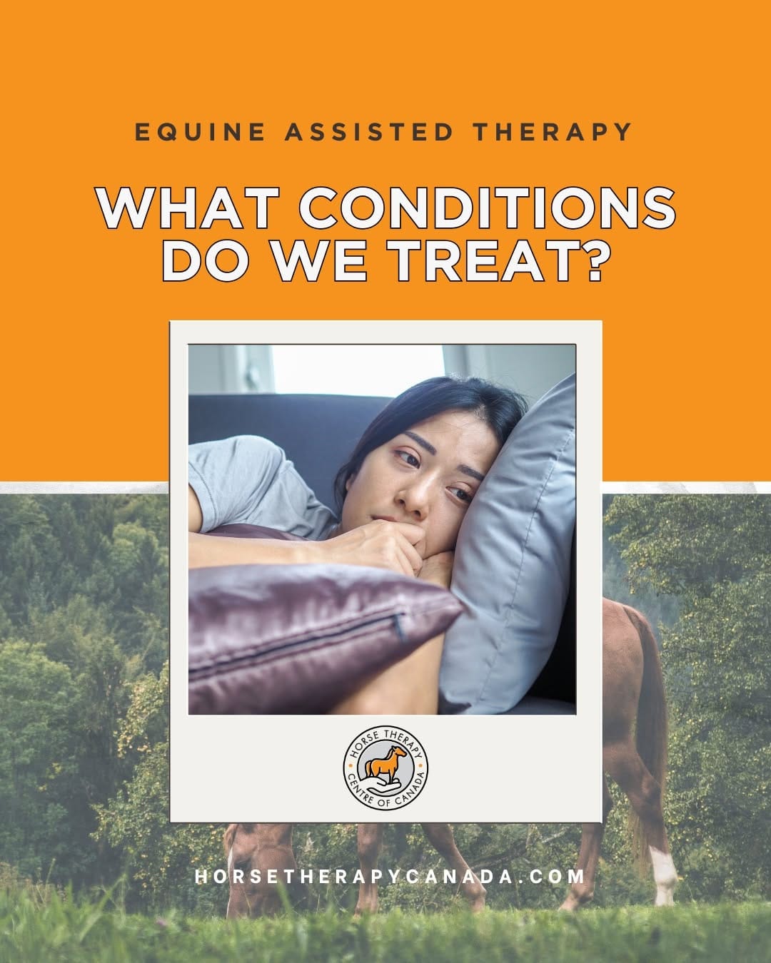 Post 7 by Horse Therapy Centre of Canada on Instagram (image)