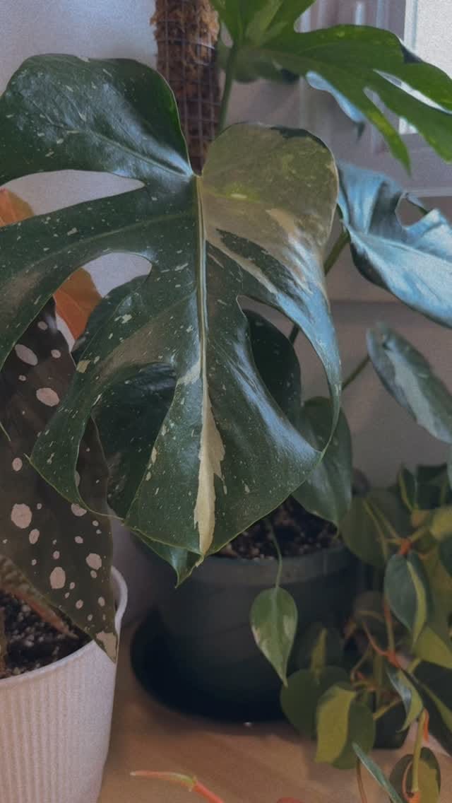 Post 10 by Kenda Legaspi on Instagram (video)