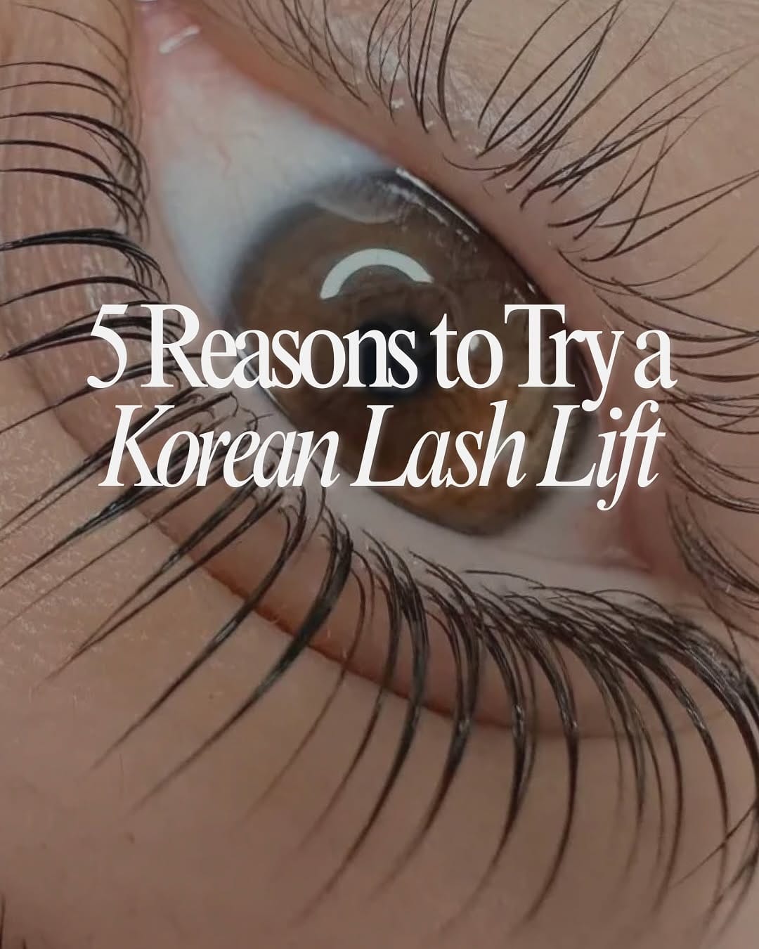 Post 8 by Toronto Lip Blush, Korean Lash lifts, Lash Extensions on Instagram (carousel)