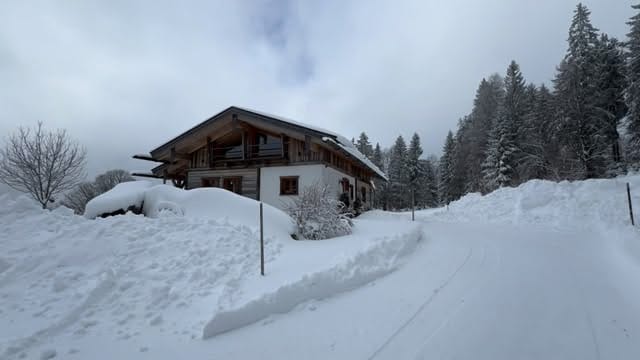 Post 4 by Dreisessel Chalets on Instagram (video)