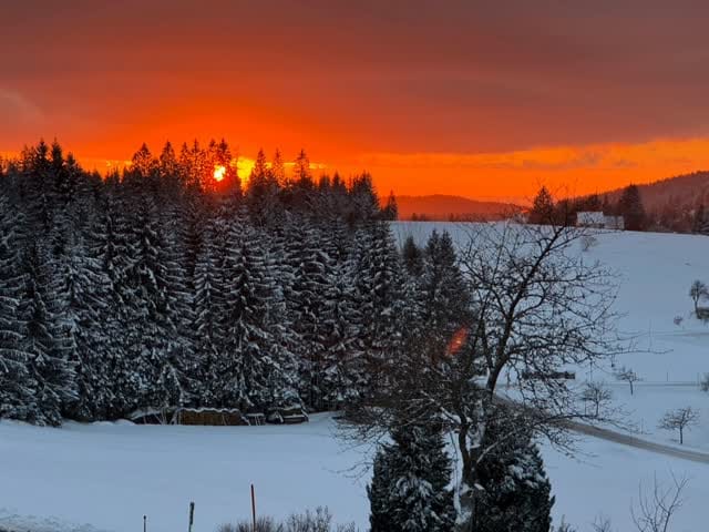 Post 7 by Dreisessel Chalets on Instagram (video)