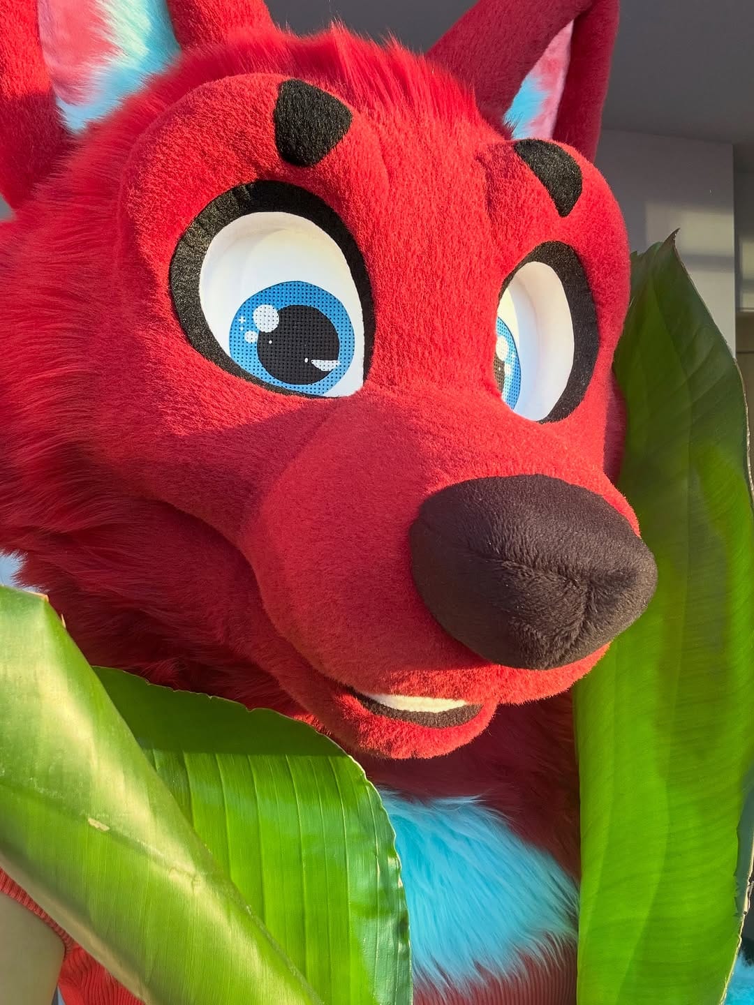 Post 1 by YBLSUITS on Instagram (carousel)