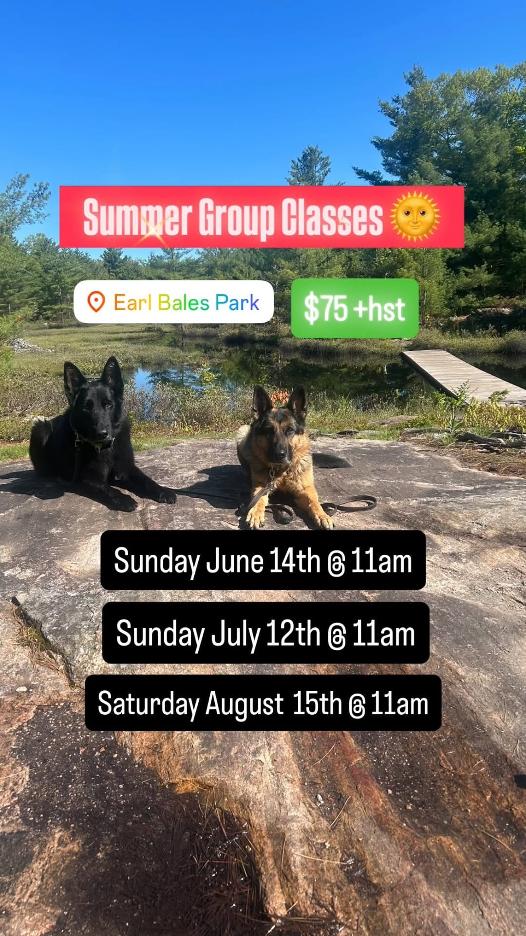 Post 10 by The Tired Pooch 🇨🇦 on Instagram (video)