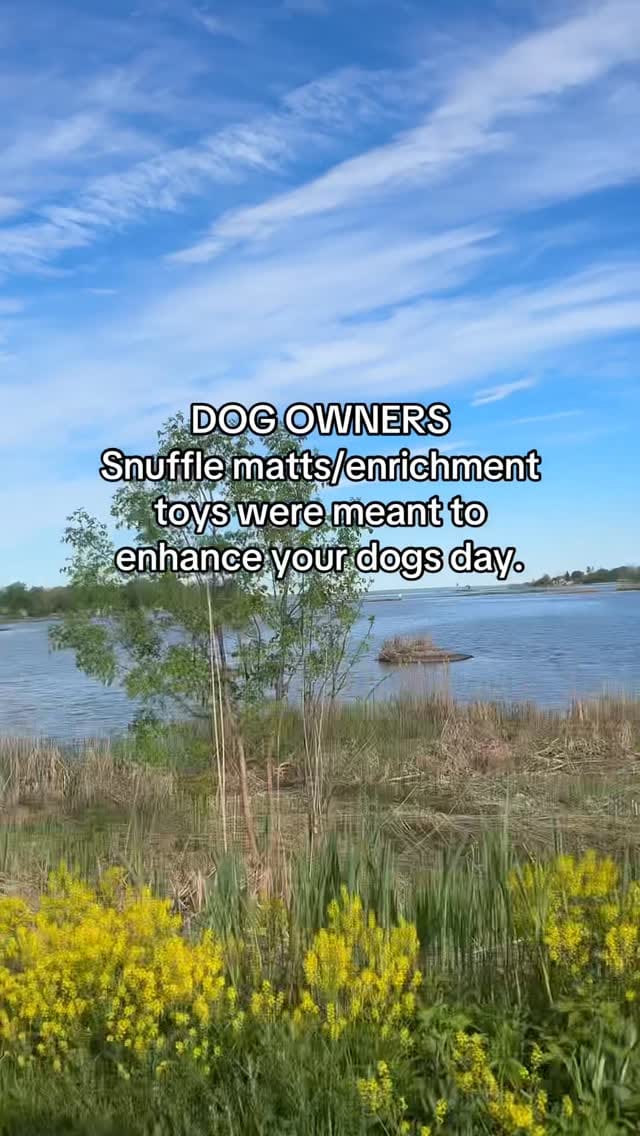 Post 4 by The Tired Pooch 🇨🇦 on Instagram (video)