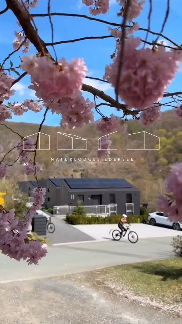 Post 2 by Naturlodges Edersee on Instagram (video)